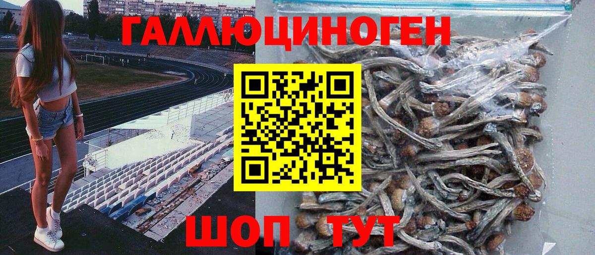 Галлюциногенные грибы GOLDEN TEACHER Орск