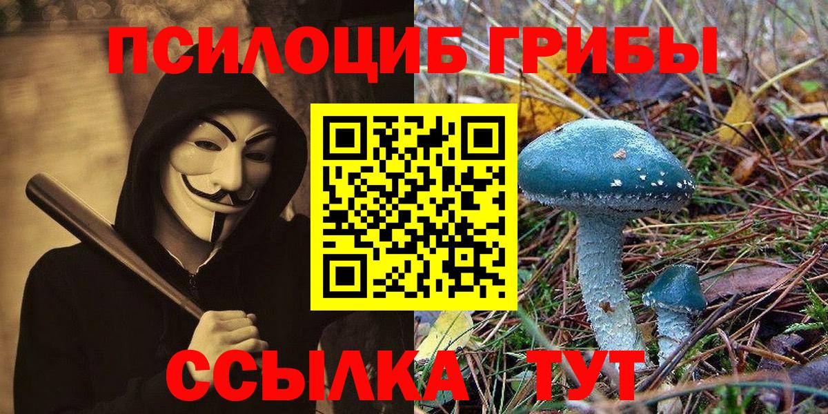 Псилоцибиновые грибы MAGIC MUSHROOMS  Вход с VPN  Орск 